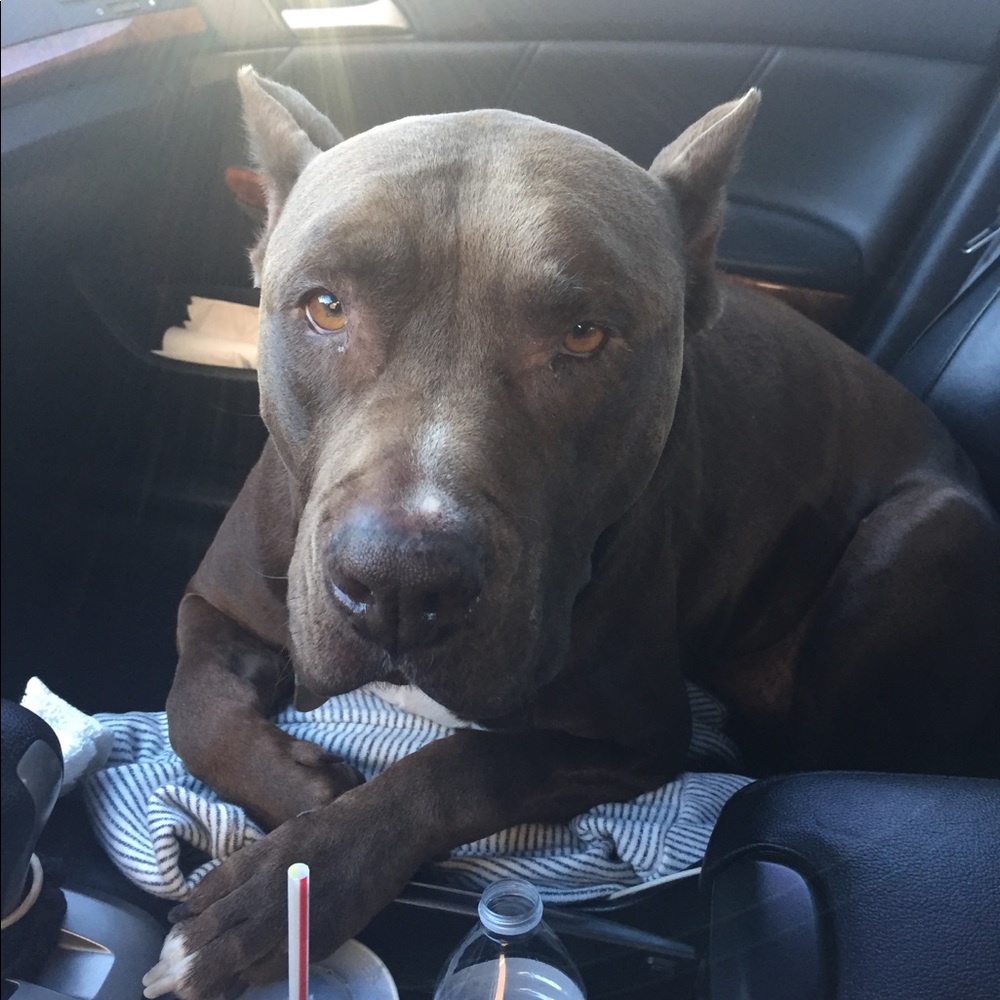 Meet your Posher, Celestina